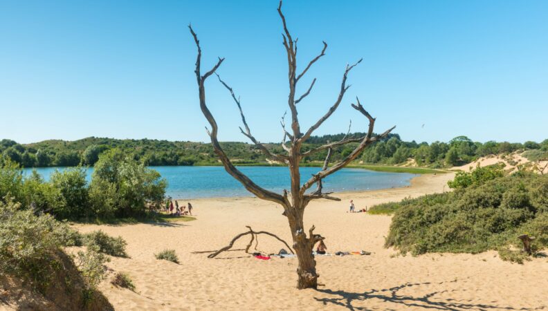 Nationalpark Zuid-Kennemerland