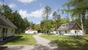 RCN het Grote Bos