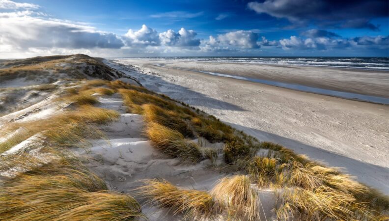 Texel