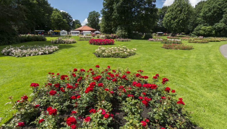 Rosarium Winschoten
