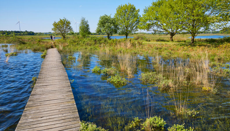 Naturgebiet Huis ter Heide