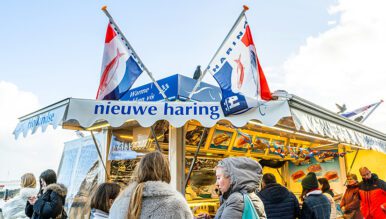 Nieuwe Haring in Holland