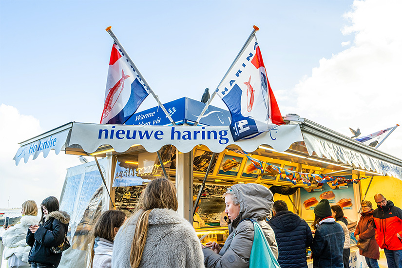 Nieuwe Haring in Holland