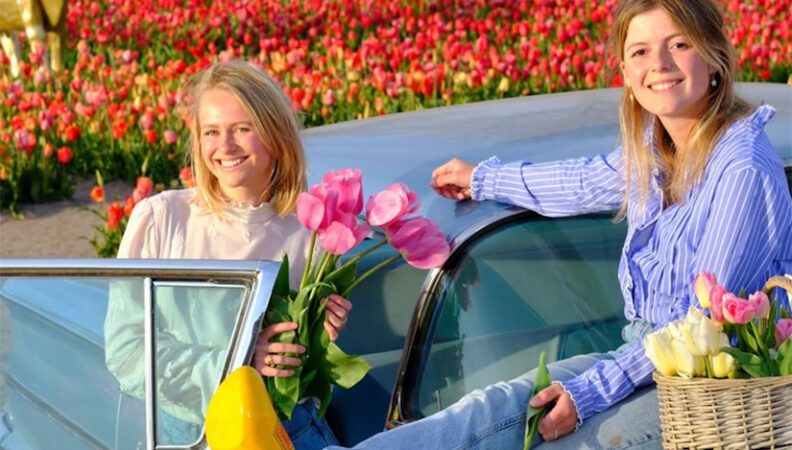 The Tulip Barn Hillegom