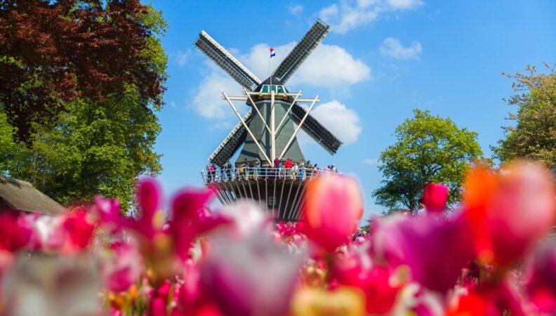 Mühle im Keukenhof in Lisse