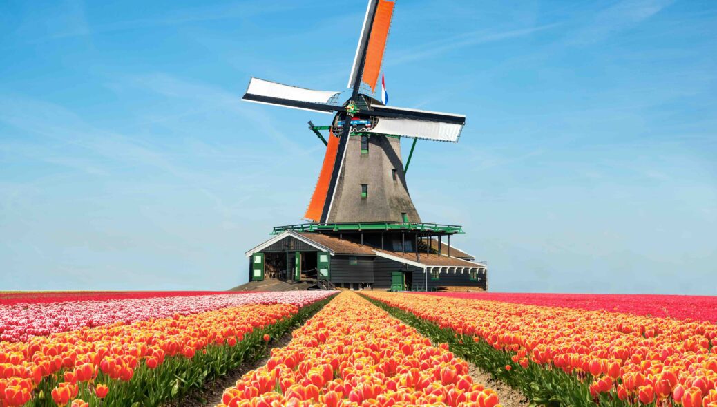 Tulpenfelder Holland