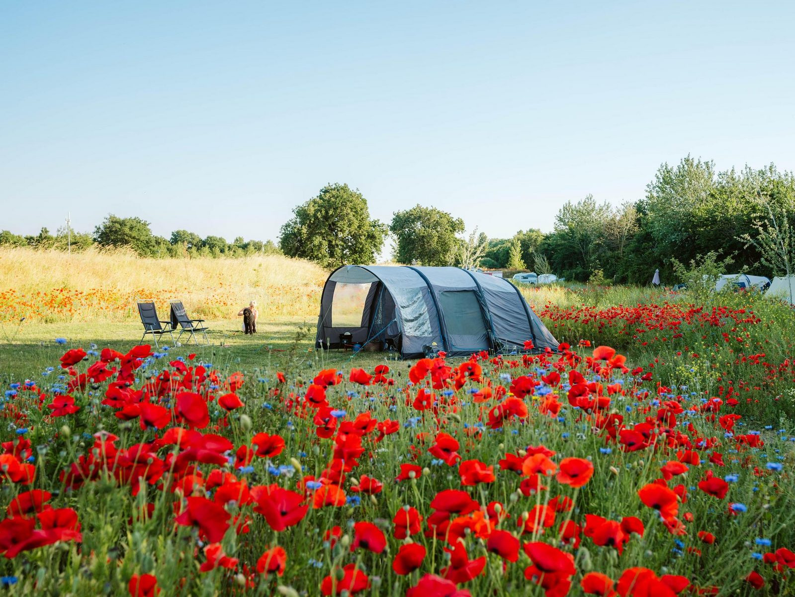 putterersee camping AK Aigen im Ennstal. Putterersee. Campingplatz. Landesberufsschule fr   Parmenides Ansichtskarten