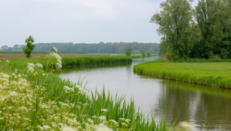 Kromme-Rijn