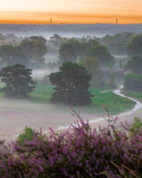 Brunssumerheide Limburg Holland
