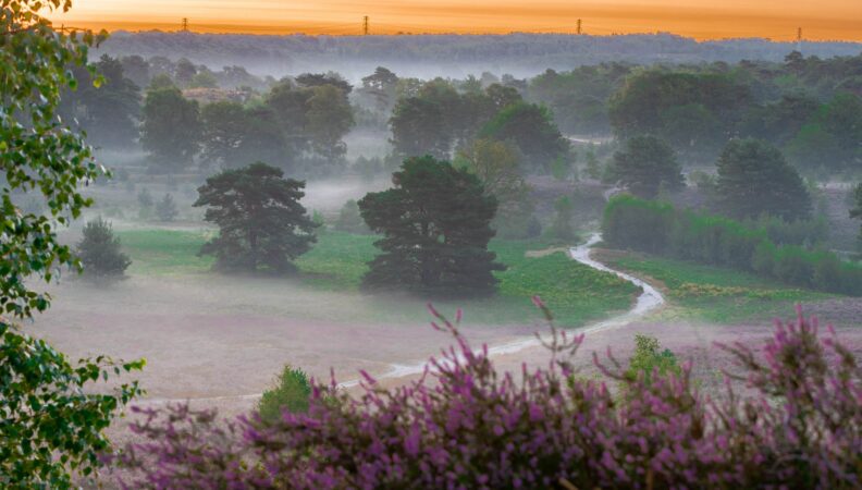 Brunssumerheide Limburg Holland