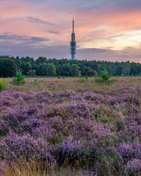 Bussumerheide