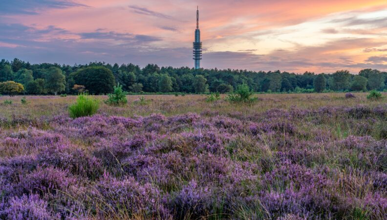 Bussumerheide