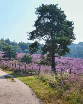Mookerheide Nord-Limburg