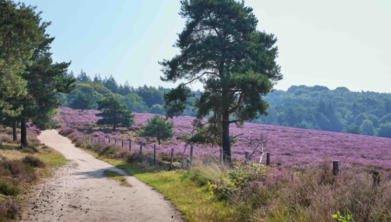 Mookerheide Nord-Limburg