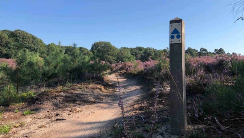 Mountainbike-Strecke Sallandse Heuvelrug