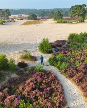 De Utrechtse Heuvelrug - Soesterduinen