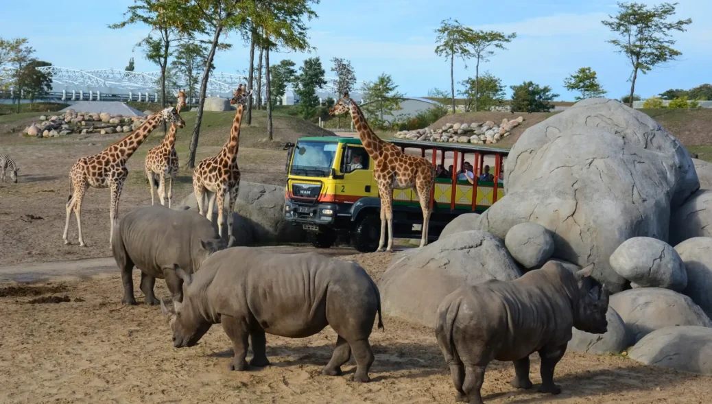 Serenga Wildlands