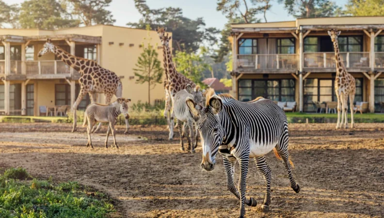 Safarihotel Beekse Bergen Brabant